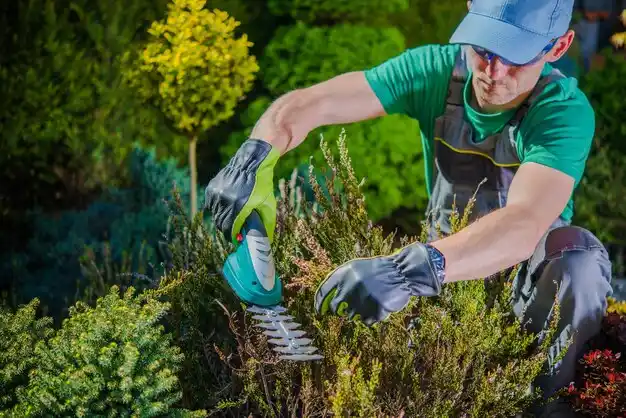 landscaping services North Eastham